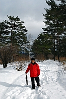  雪道の散歩